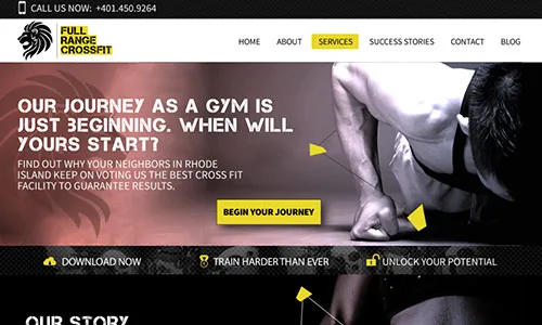 Website Design